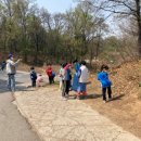 이패1통 이미지