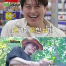 한식에 진심 이미지