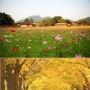 가을코스 이미지