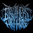 The Brothers Highhorse - Biomechanical Emancipation 이미지