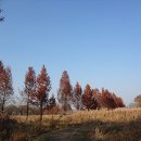 12월 17일 수요일 11시 30분 잠실 롯데 백화점 고기 구워주는 집 이미지