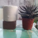 월출산이야기 이미지