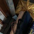 대영돈돼지 이미지