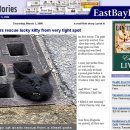 맨홀 뚜껑에 머리 낀 고양이, 극적 구조 화제 이미지