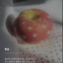 봄꿈