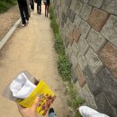 아이디메디칼 | 연휴 ♥ 살목지 무대인사 / 양평 두물머리 / 원필 콘서트 unpiltered / 용아맥 헤일메리 / 성남 수진분식