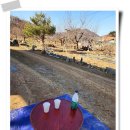 왕성농장 이미지