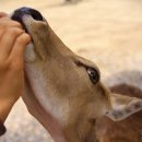 청대농장 이미지