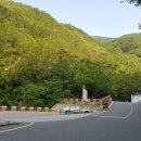 영주스포렉스 이미지