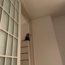 월간지수 -1~2월-