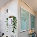 스테이 태연 | 울릉도숙박 울릉도에서 만난 모던감성 독채펜션, 스테이 태연 후기