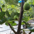 화계농장 이미지