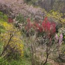 조안농장 이미지