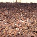 열매한의원 이미지