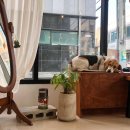 옹달샘cafe 이미지