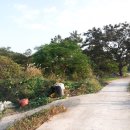 화원태양광발전소 이미지