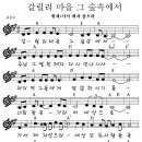 갈릴리A 이미지