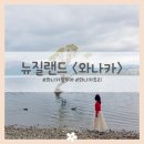 소트리팜 | 뉴질랜드 남섬여행 8일차_와나카 팜투어 와나카트리 맛집 추천 (여행 코스)