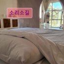 소리소길 | 제주도 애월 펜션 숙소 게하 소리소길 프라이빗 힐링 공간