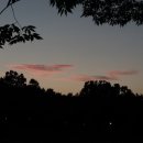 초민의원 이미지