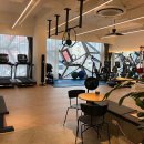 더컨디셔닝 이미지