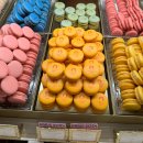 새벽노을 커머스 | Paris.24