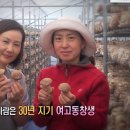 장터발전소 이미지