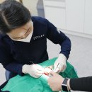 나비온치과의원 이미지