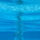 경기미래교육(워터파크) 이미지