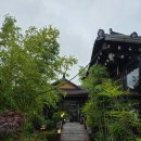경주 한옥카페 신라당 산딸기주악 맛집 내돈내산 후기