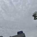 역곡큰약국 | 💇 역곡 미용실 추천 ｜ 예쁘고 고급진 분위기에서 컬러, 커트 시술 얼굴형에맞는 커트로 얼굴살려주는곳...