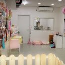 스타애견샵 이미지