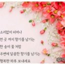 9월 17일 화요일 날씨정보 (입영 23일차) 이미지