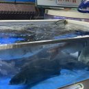 안면도수산시장(안면도장터) 이미지