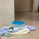 나비야호텔 | T2 마니타라운지, 우버 택시, 캐널시티 워싱턴 호텔, 긴타코, 텐진 멘야가가, 나카스 돈키호테, 무쿠미