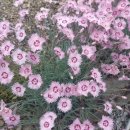 (주)굿모닝지리산 이미지