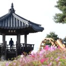 봉화로 이미지