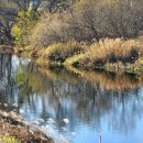 강변에서 이미지