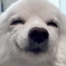 아무나사게 네이버블로그