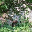 숲속다람쥐펜션 이미지