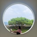 송학주천로 | 영월 젊은달와이파크 아이와 가볼만한곳 전시 체험 후기