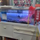 대성곰장어 이미지