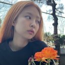 제니헤어스토리 이미지