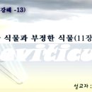 정한 식물과 부정한 식물(레위기 강해 11장-13강) 이미지