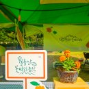 달코미 농촌체험휴양마을 이미지