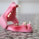 Dr. 오즈 동물병원 이미지