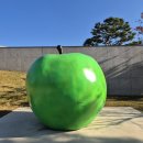 뮤지엄산(페이퍼갤리러) | 원주 단풍 구경 나들이 추천 :: 1300살 반계리 은행나무 | 뮤지엄산 후기 주차