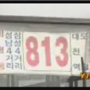 뉴스에서 캡쳐한 대전시내버스들... 이미지