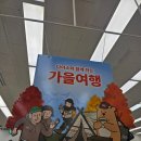 냄비와물통 | 다이소 가을 신상품 캠핑용품 추천 리뷰 시에라컵 접이식물통