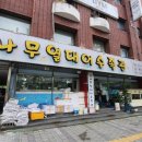 꿈나무 열대어 네이버블로그